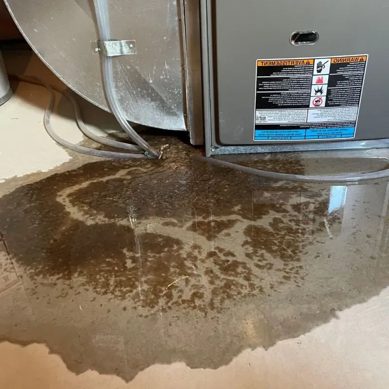 Pipe Burst and Leak Restoration in Fillmore County, NE