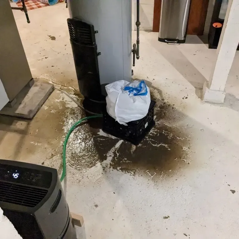 Sewage Backup Cleanup Service in Fillmore County, NE